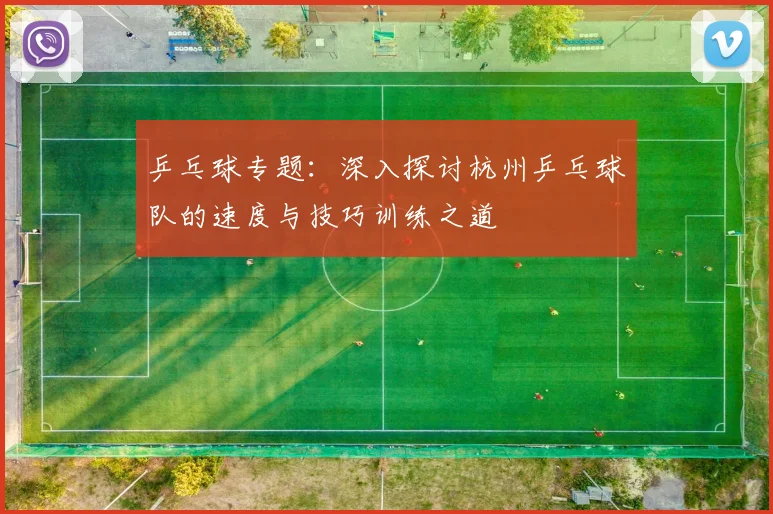 乒乓球专题：深入探讨杭州乒乓球队的速度与技巧训练之道