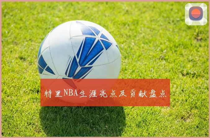 特里NBA生涯亮点及贡献盘点