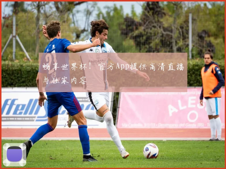 畅享世界杯！官方App提供高清直播与独家内容