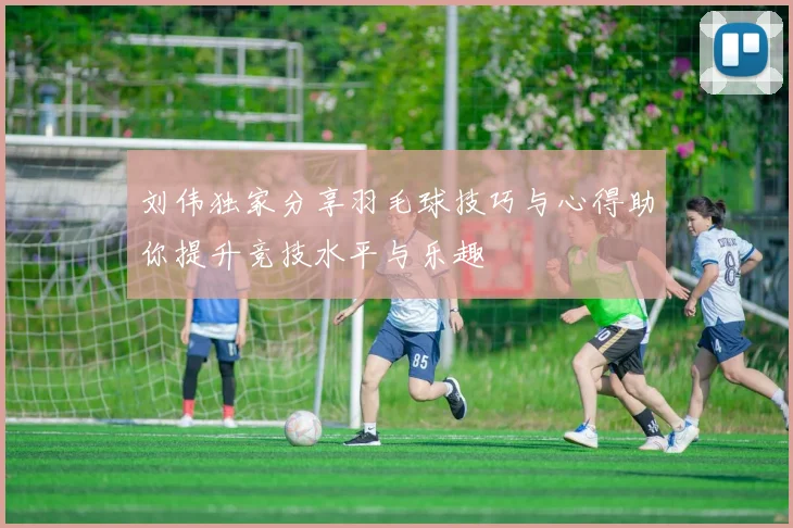 刘伟独家分享羽毛球技巧与心得助你提升竞技水平与乐趣