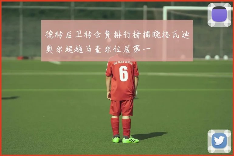 德转后卫转会费排行榜揭晓格瓦迪奥尔超越马奎尔位居第一